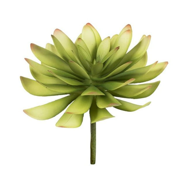 Vickerman FO195006 Assortiment de Choix Succulents Verts de 6 Po - Pack de 3