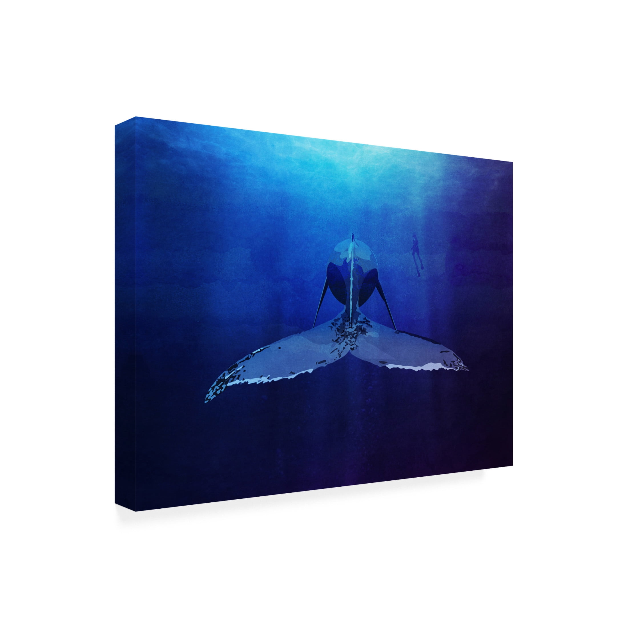 Trademark Fine Art Emel Tunaboylu  Print By Bohonewart Canvas Wall Art