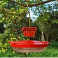 thumbnail image 5 of Ant Moat for Hummingbird Feeder - 3 OZ x 2 Pack Red Insect Guard with Large Capacity, 5 of 8