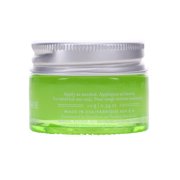 Farmacy Lip Smoothie Pear Kiwi Vitamin C + Peptide Lip Balm 0.34 oz