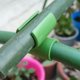 thumbnail image 3 of 100 Uds. Accesorios de marco de escalada de vid de pilar de jardinería vid de escalada laminada, 3 of 5