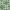 Green, variant on MidWest Homes for Pets QuiteTime Teflon Nesting Dog/Cat Pet Bed, Green, 20 in