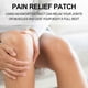 thumbnail image 2 of Wormwood Body Care Patch Waist Neck Shoulder Vertebra Knee Joint Body Care -10Pieces W, 2 of 5