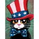 thumbnail image 1 of Pintura de diamante (DE6753) 5D DIY Hat Cat Square Rhinestone Picture Kit 45x60cm FLhrweasw Nuevo, 1 of 1