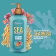 thumbnail image 4 of Champú anticaída Mielle Organics Sea Moss 350 ml, 4 of 6