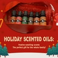 thumbnail image 2 of Eternal Essence Oils Holiday Fragrance Oil Gift Set - 6 Long Lasting Scents in 10mL Glass Bottles - Oils for Diffusers, Soap & Candle Making, Aromatherapy - Includes Candy Cane, Pumpkin Patch, & More, 2 of 7