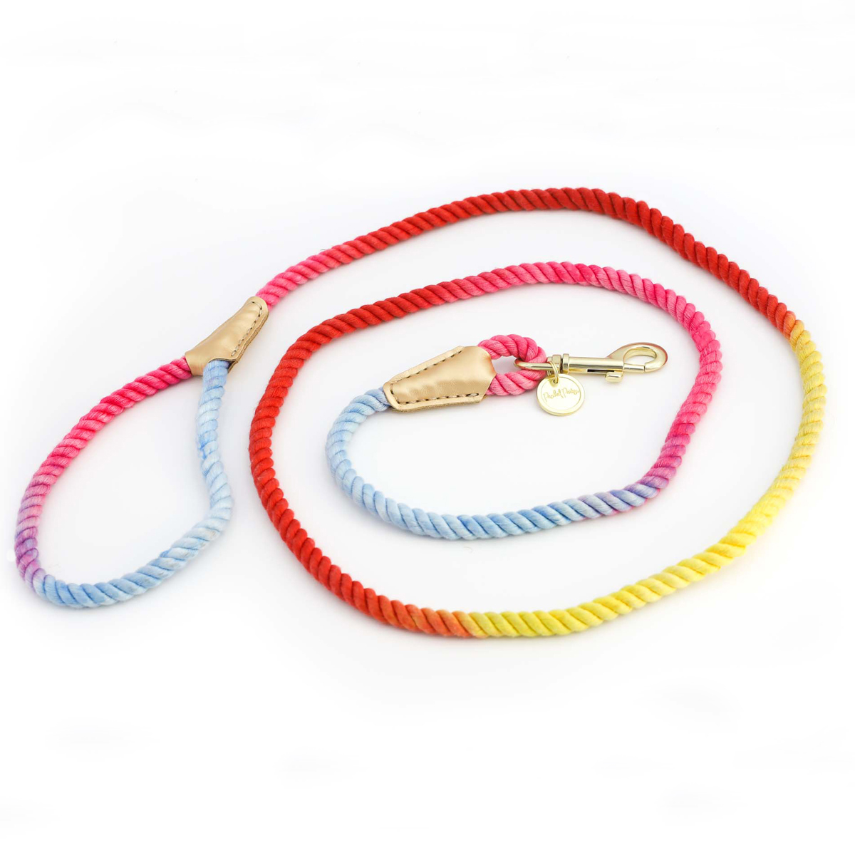 Packed Party Hold It! Rainbow Rope Dog Leash - image 3 of 8