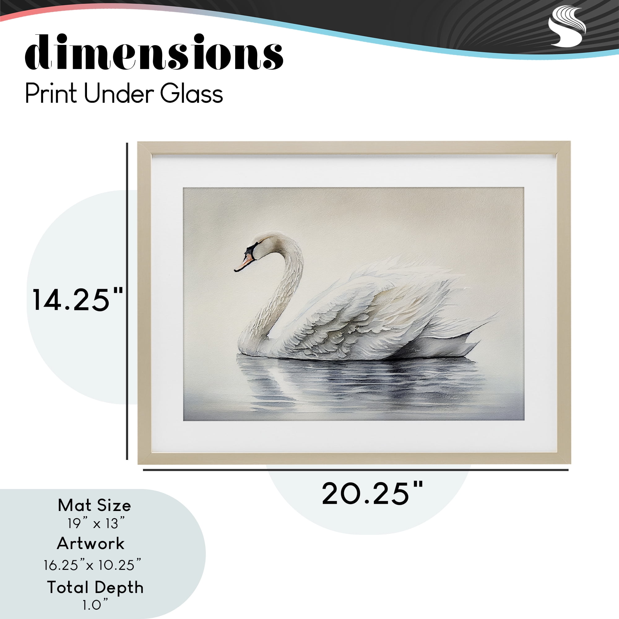 Elegant Floating Swan Birch Framed Print Under Glass, design by Sasha