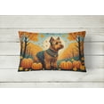 thumbnail image 2 of Carolines Treasures DAC1079PW1216 16 x 12 in. Unisex Welsh Terrier Fall Fabric Decorative Pillow, 2 of 4