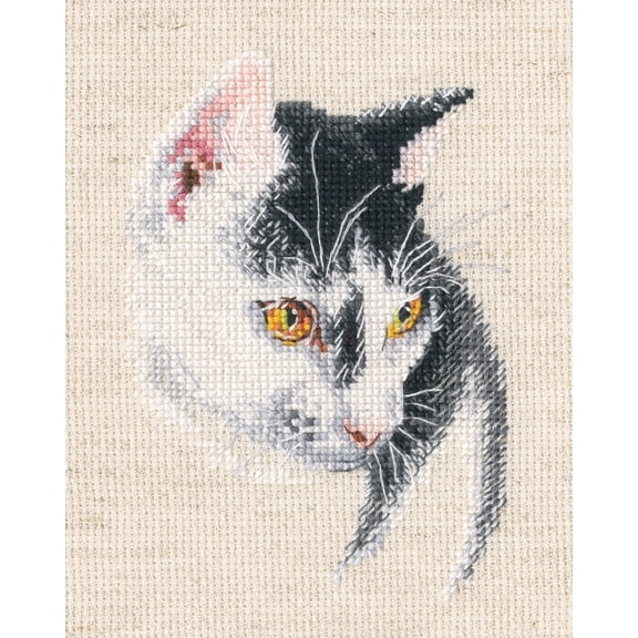 Wizardi Counted Cross Stitch Kit - Fascinating C423 RTO