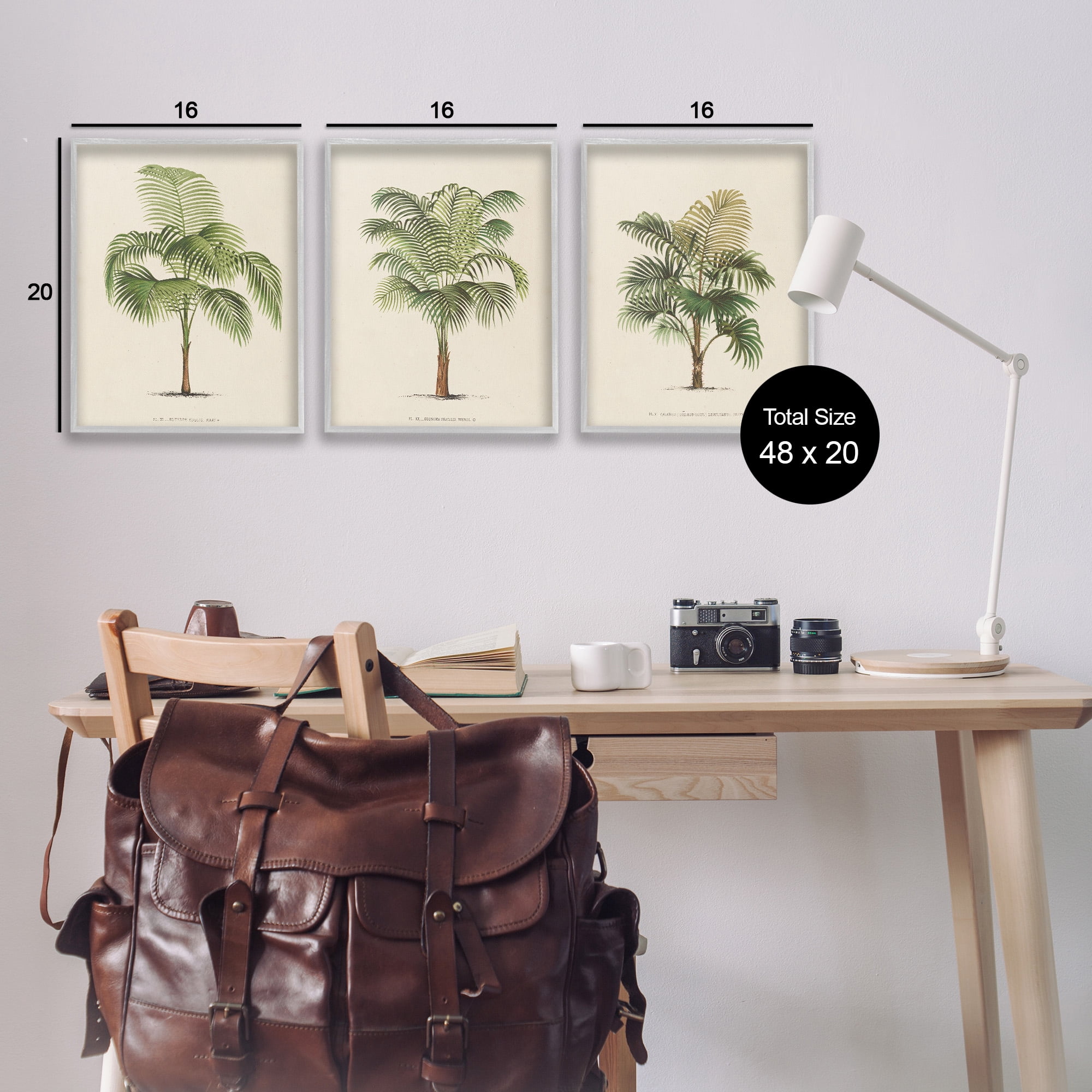 Stupell Industries Les Palmiers Botanical Trio Botanical & Floral Painting Gray Framed Art Print Wall Art, 16 x 20, Set of 3