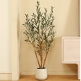thumbnail image 1 of DR.Planzen Artificial Plants, 5ft Fake Olive Tree with Oval White Planter, Artificial Olive Plants with Realistic Leaves and Natural Trunk, Fake Plants for Home Decor, 1 of 5
