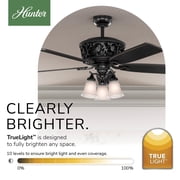 Hunter 54 inch Indoor Ceiling Fan with LED Lights and Remote Control - Standard Mount Black Ceiling Fan, 5 Blades, For Bedroom, Living Room, or Kitchen, Quiet - Promenade 59545, Gloss Black