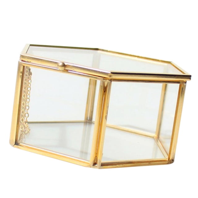 Terrario geométrico de cristal de latón hexagonal para suculentas, recuerdos de boda, 12,5 x 125 x 125 x 6 cm Colcomx Terrario geométrico moderno