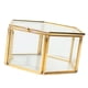 thumbnail image 4 of Caja de joyería de terrario geométrico de Metal de cristal hexagonal de 2 piezas Decoración de compromiso perfecl Terrario geométrico moderno, 4 of 8