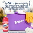 thumbnail image 6 of Fabuloso Holiday Multi-Purpose Cleaner, 2X Concentrated, Wild Winter Berries Scent, 33.8 fl oz, 6 of 14