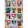 thumbnail image 4 of Keith Kimberlin - Chiots - Lunettes de soleil, 4 of 4