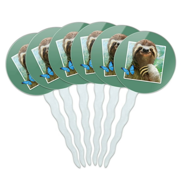 Sloth Selfie Picture Cupcake Picks Toppers Decoration Set of 6