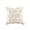 Beige#1, variant on 18x18 Inch Double Sided Halloween Pumpkin Pillow Cover, Velvet Plush Washable Polyester Cushion Case for Sofa Couch, Seasonal Holiday Decor (Pillow Not Included)
