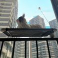 thumbnail image 2 of Percha para Ventana de Gato - Hamacas para Ventana de Gato, Cama para Gato Que Ahorra Espacio, Asiento de Seguridad para de Mascotas Que Sopo - Ventosa de 65 mm Sunnimix Hamaca de gato, 2 of 8
