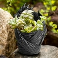 thumbnail image 1 of Design Resin Succulent Planter Indoor Outdoor Decorative Flower Pot For And Home Garden, 1 of 9