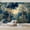 Color 3, variant on Wallpaper Red White Vertical Striped Retro Circus Style Peel and Stick Wall Murals 69"H x 96"W Removable PVC Wall Paper Self-Adhesive Wall Paintings Art Decor for Bedroom Living Room