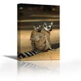 thumbnail image 1 of Ring-tailed Lemur baby on mothers back, Madagascar - Contemporary Fine Art Giclee on Canvas Gallery Wrap - wall décor - Art painting - 24 x 36 Inch - Ready to Hang, 1 of 2