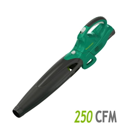 UPC 024761026598 product image for Weed Eater 20-Volt Cordless Interchangeable 250 CFM / 80 MPH Handheld Blower (in | upcitemdb.com