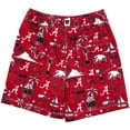 thumbnail image 3 of Youth Wes & Willy Crimson Alabama Crimson Tide Luau Swim Trunks, 3 of 3