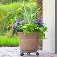 thumbnail image 6 of Basic Plant Caddy, 6 of 6