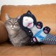 thumbnail image 3 of Cat Puppet Wrestlers Interactive Pet Toy with Padding for Playtime Protection Stuffed Animal Cat Toy for Training, 3 of 5