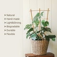 thumbnail image 3 of Cambaverd 3 Pack Bamboo Trellis, 16 inch Plant Trellis Indoor, Garden Trellis for Potted Plants and Vegetables, 3 of 6