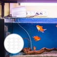 thumbnail image 4 of HONMEET 16Ud Soportes Para De Acuario En Acrílico Para De Peces Con Estable, 4 of 8
