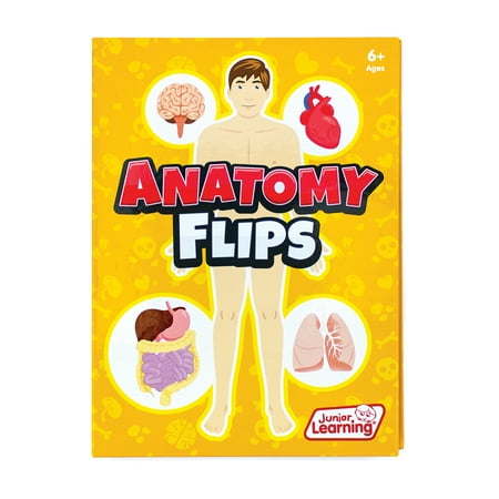 UPC: 0850010476452 | Junior Learning Anatomy Flips Educational Learning Set – Educational Flip Book