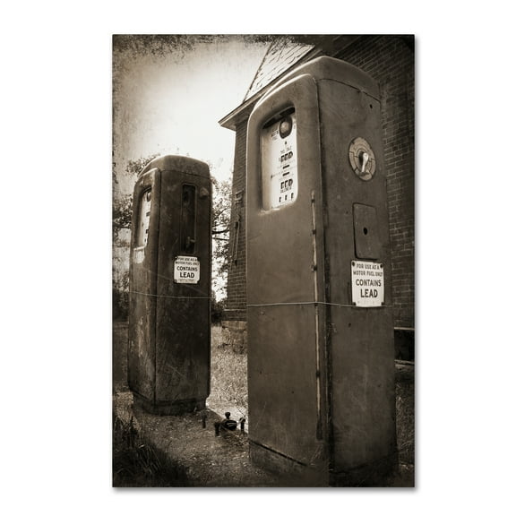 Trademark Fine Art 'Leaded' Canvas Art by Tina Lavoie