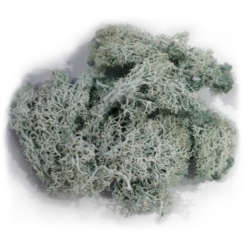 SANAG Artificial Moss Flower Wall Landscape Wedding Party Garden