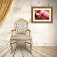 thumbnail image 3 of Villa, Mlli 32x23 Gold Ornate Wood Framed with Double Matting Museum Art Print Titled - Color Swirl, 3 of 4