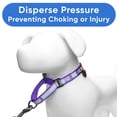 thumbnail image 6 of Pawtitas Martingale Dog Collar Puppy Collar Reflective Dog Collar Training Dog Collar Dog Collar Small Dog Collar Purple Dog Collar, 6 of 9
