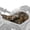Buck Deer Forest Pattern, variant on Pzuqiu Lightning Wolf ATV Seat Cushion Cover, Waterproof Breathable Four-Wheeler Seat Cover Stretchable for Polaris Honda CFMOTO Arctic Cat Sportsman