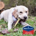 thumbnail image 7 of Barkworthies Cow Tails 6 oz  All Natural Dog Chews  Grain-Free, 7 of 7