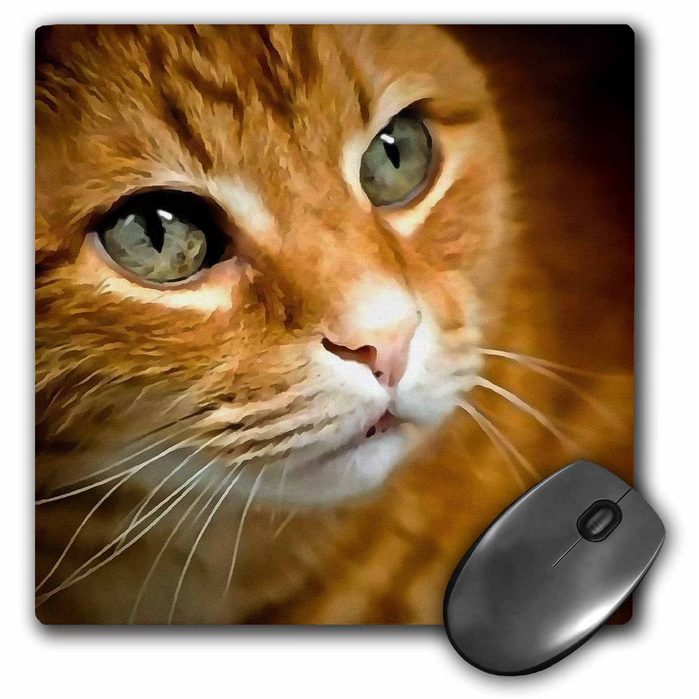 3dRose Adorable Ginger Tabby Cat Posing Mouse Pad, 8 by 8inch