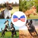 thumbnail image 5 of Corbata de Huxley y Kent | | Las estrellas y las rayas el 4 de julio, accesorio para collar de mascota, 5 of 5