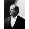thumbnail image 2 of William Jennings Bryan History (18 x 24), 2 of 2