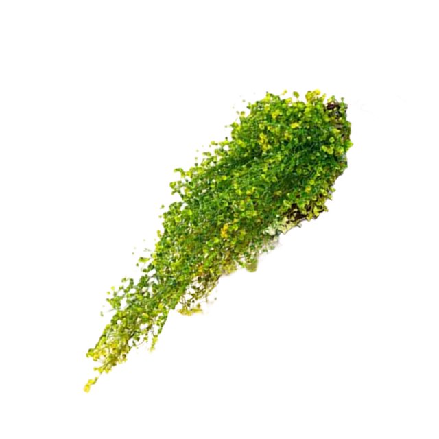 Flores artificiales para colgar en la pared Naiovety Planta de mimbre falso decoración Regalos de inauguración