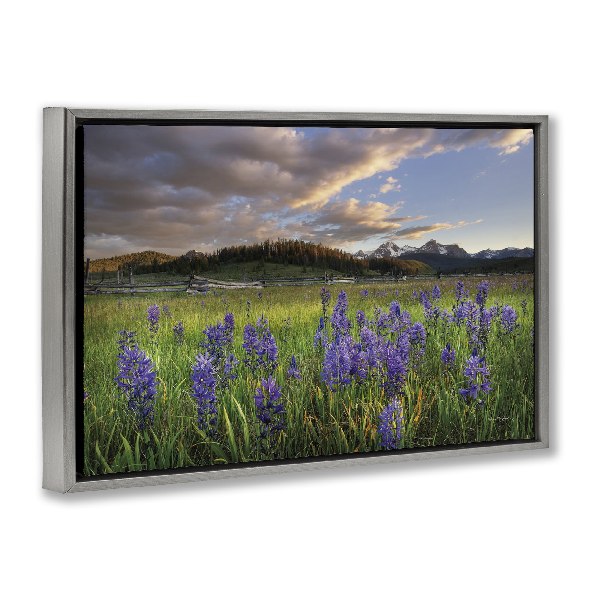 Stupell Industries Lavender Bloom Meadows Landscape & Nature Photography Gray Floater Framed Canvas Art Print Wall Art, 25 x 17