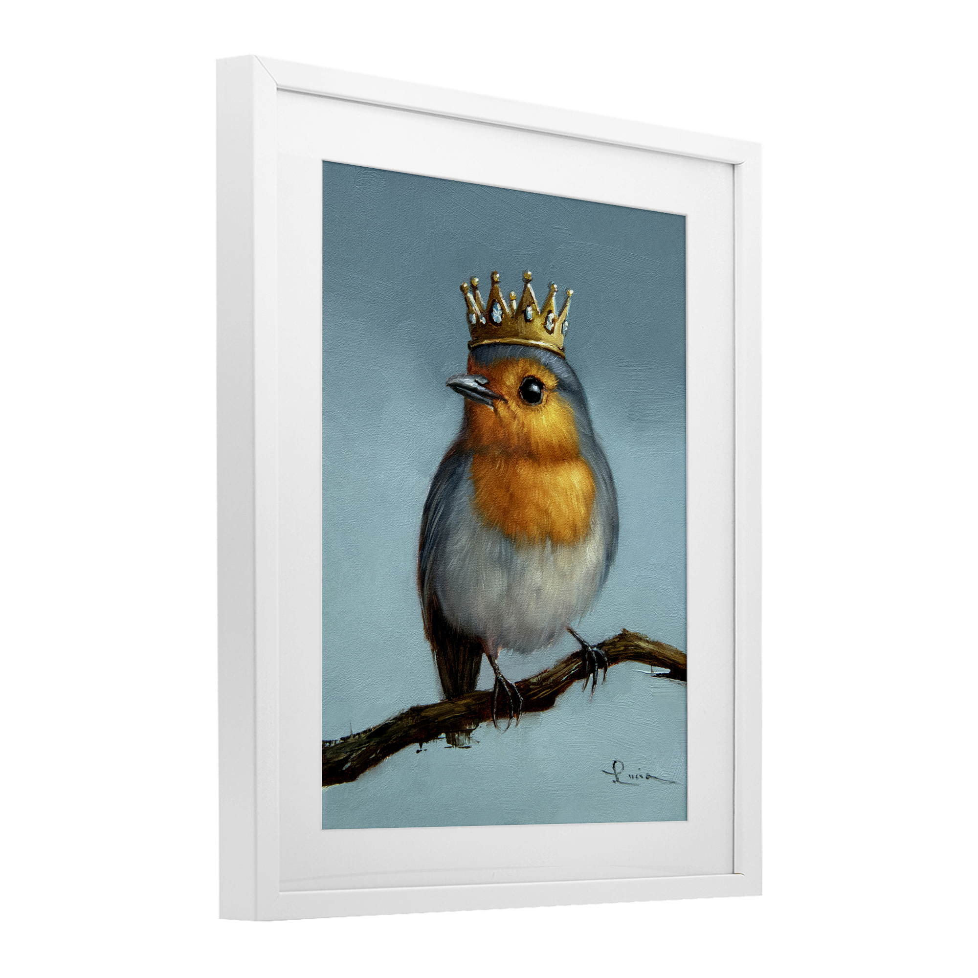 Royal Robin Perched White Framed Print Under Glass, design by Lucia Heffernan