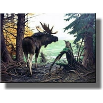 Moose in Forest Picture on Stretched Canvas, Wall Art Decor, Ready to Hang!