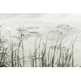 thumbnail image 2 of Monkman, Jerry and Marcy 32x23 White Modern Wood Framed Museum Art Print Titled - Silver Lake Lilies, 2 of 4