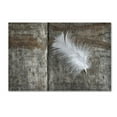 thumbnail image 2 of Trademark Fine Art 'Feather on Wood II' Canvas Art by Cora Niele, 2 of 4