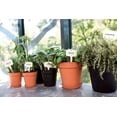 thumbnail image 3 of Maceta de cultivo Green Basics 13 - Maceta de cultivo - gris oscuro - interior y exterior - ? 17 x H 15,6 cm, 3 of 5